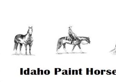 IDAHO PAINT HORSE CLUB