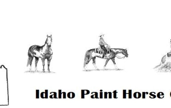 IDAHO PAINT HORSE CLUB