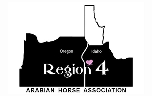 REGION 4 AHA